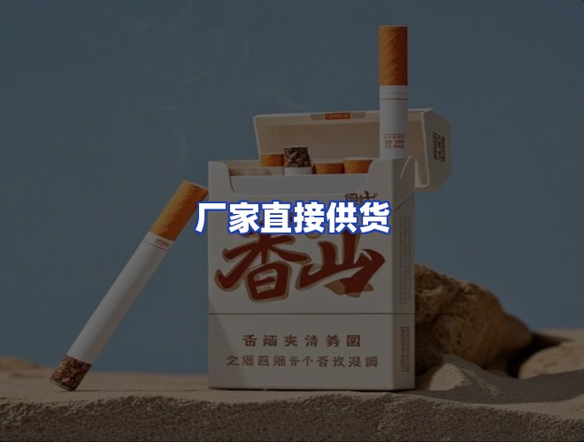 专业团队